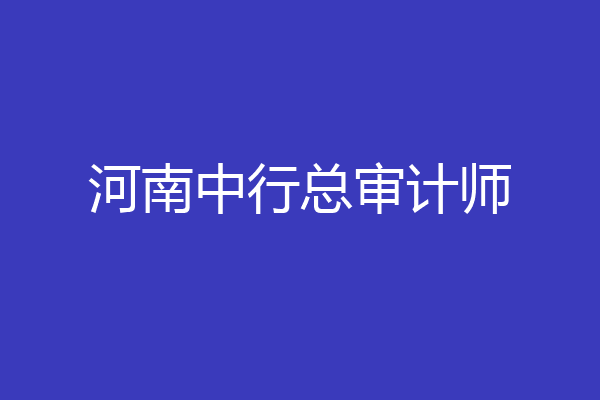 河南中行总审计师