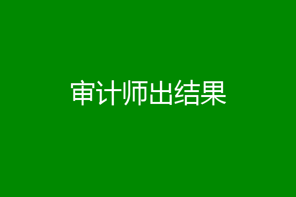 审计师出结果