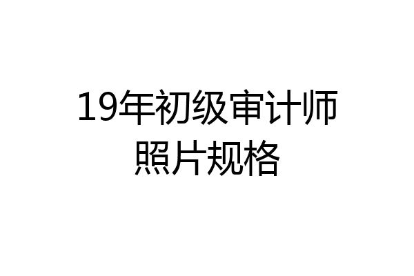 19年初级审计师照片规格