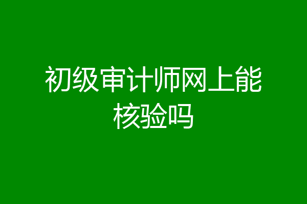 初级审计师网上能核验吗
