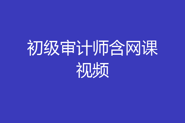 初级审计师含网课视频