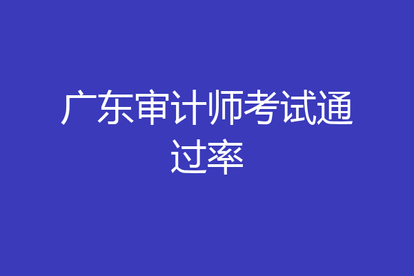 广东审计师考试通过率