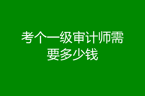 考个一级审计师需要多少钱