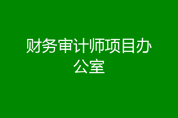 财务审计师项目办公室