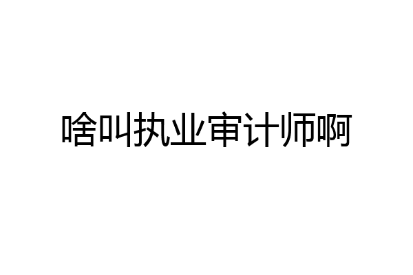啥叫执业审计师啊
