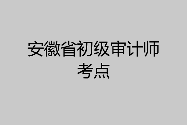 安徽省初级审计师考点