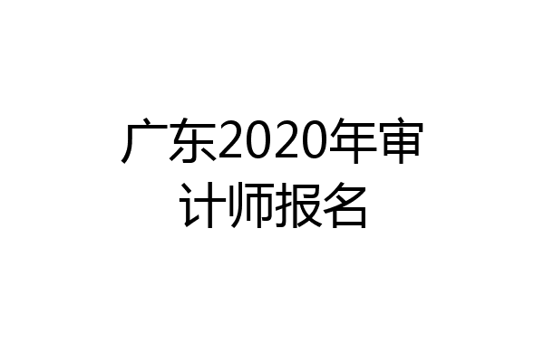 广东2020年审计师报名