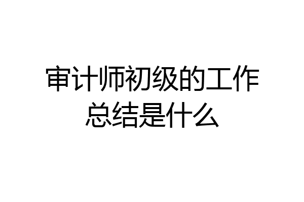 审计师初级的工作总结是什么