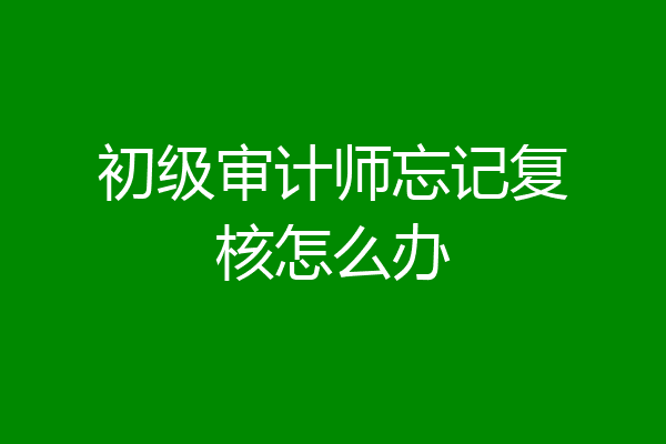 初级审计师忘记复核怎么办
