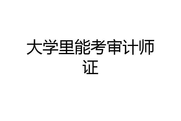 大学里能考审计师证