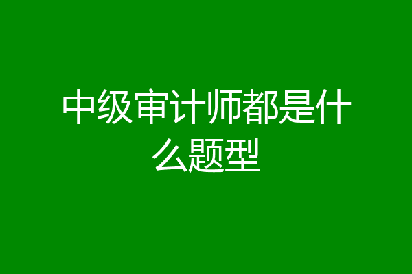 中级审计师都是什么题型