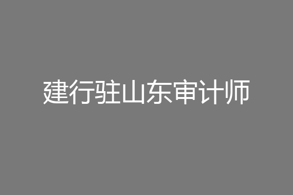 建行驻山东审计师
