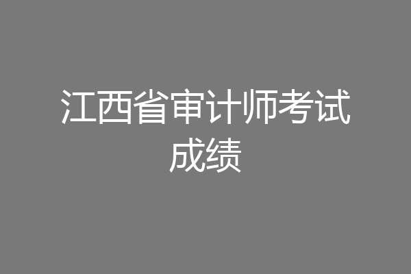 江西省审计师考试成绩