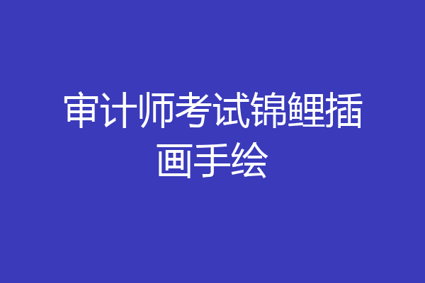 审计师考试锦鲤插画手绘