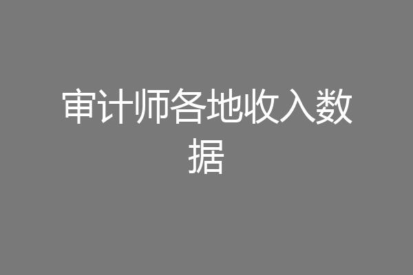 审计师各地收入数据