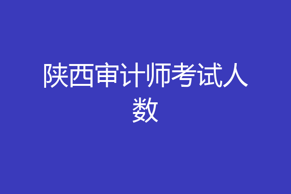 陕西审计师考试人数