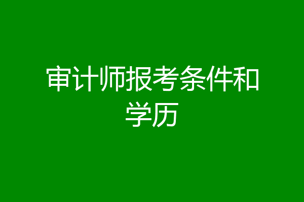 审计师报考条件和学历