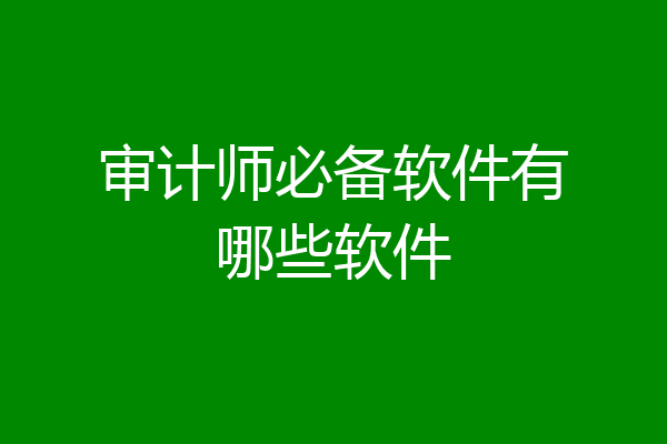 审计师必备软件有哪些软件