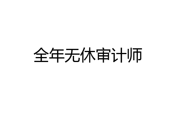 全年无休审计师