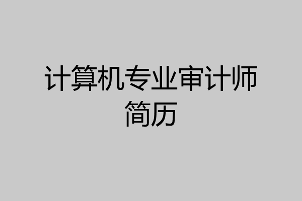 计算机专业审计师简历
