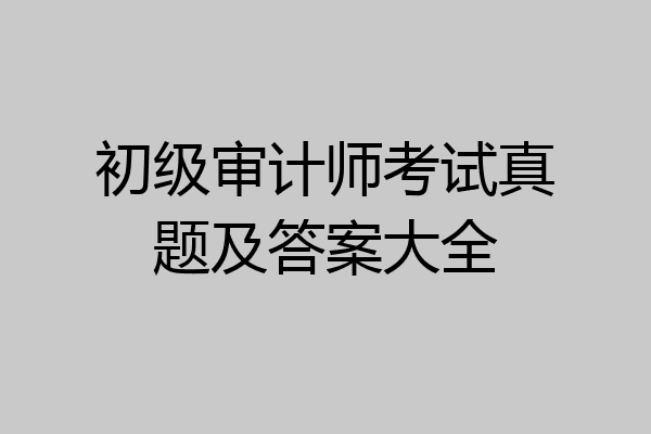 初级审计师考试真题及答案大全