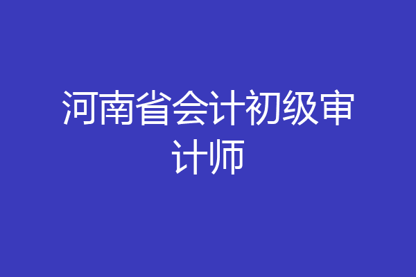 河南省会计初级审计师