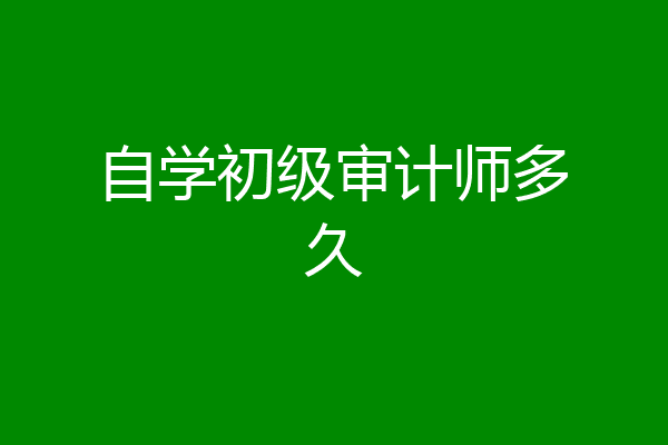 自学初级审计师多久