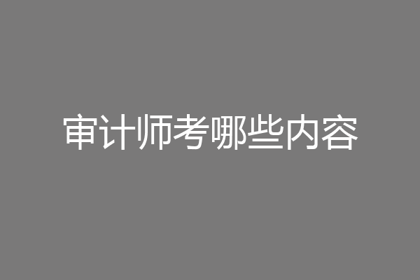 审计师考哪些内容