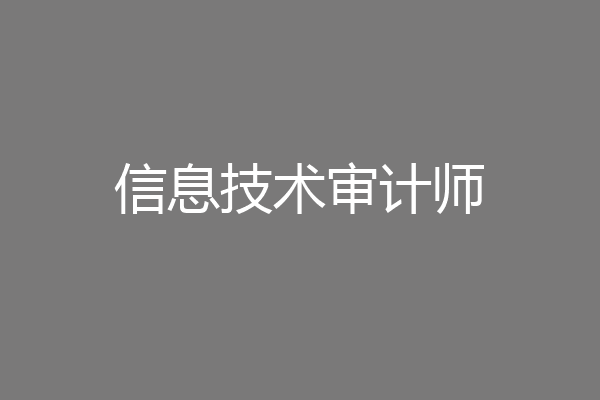 信息技术审计师