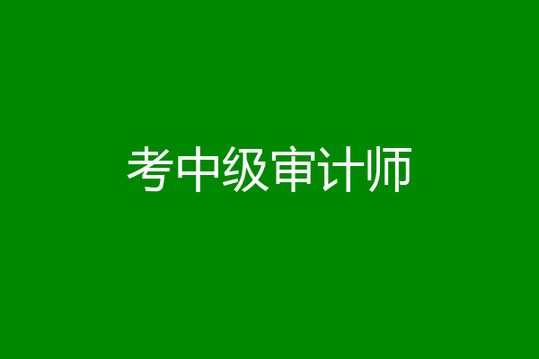 考中级审计师