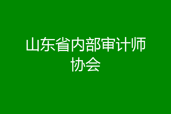 山东省内部审计师协会