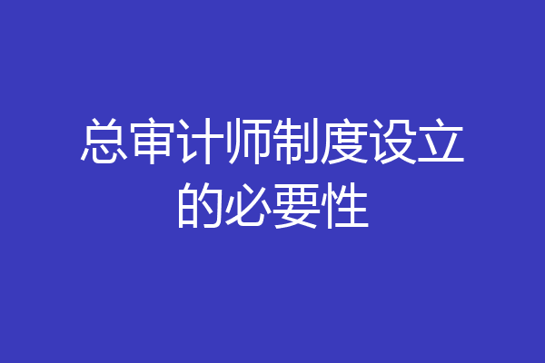 总审计师制度设立的必要性
