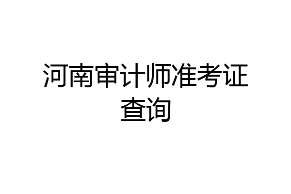 河南审计师准考证查询