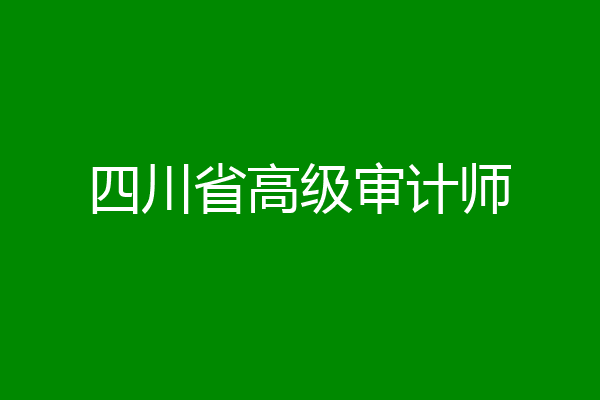四川省高级审计师