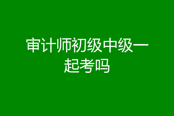 审计师初级中级一起考吗