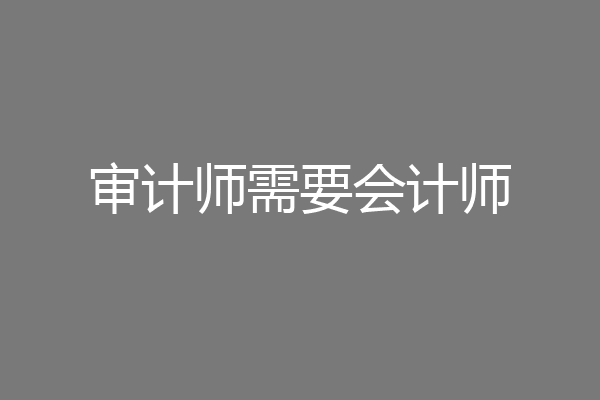 审计师需要会计师