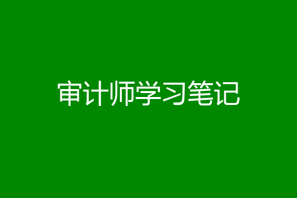 审计师学习笔记