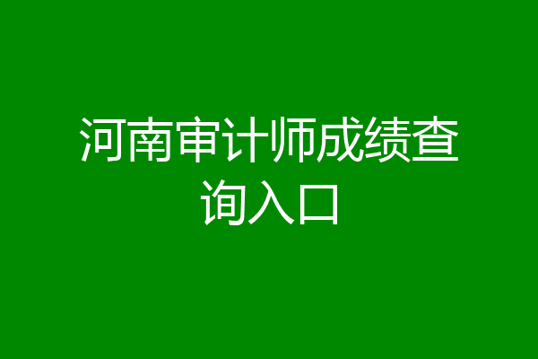河南审计师成绩查询入口
