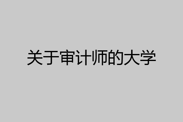 关于审计师的大学