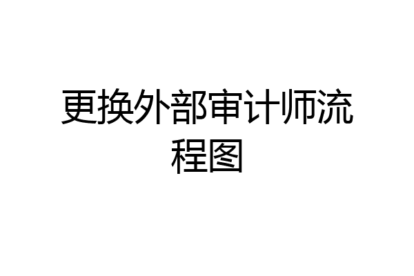 更换外部审计师流程图