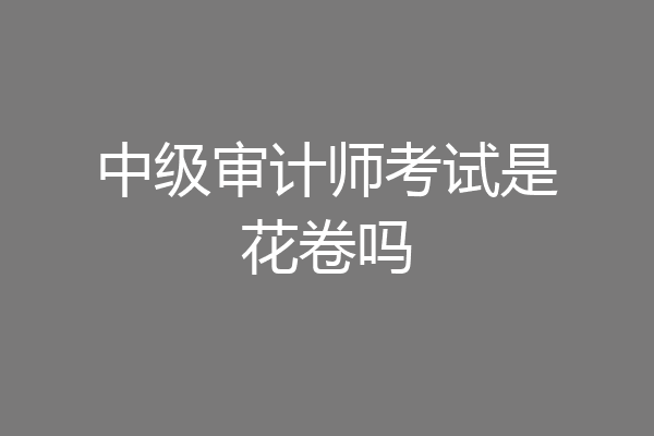 中级审计师考试是花卷吗