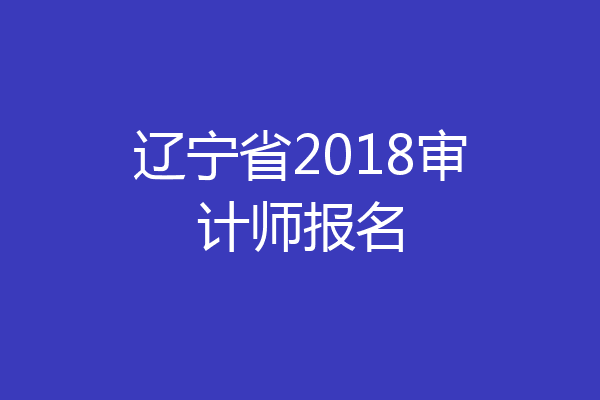 辽宁省2018审计师报名