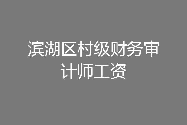 滨湖区村级财务审计师工资