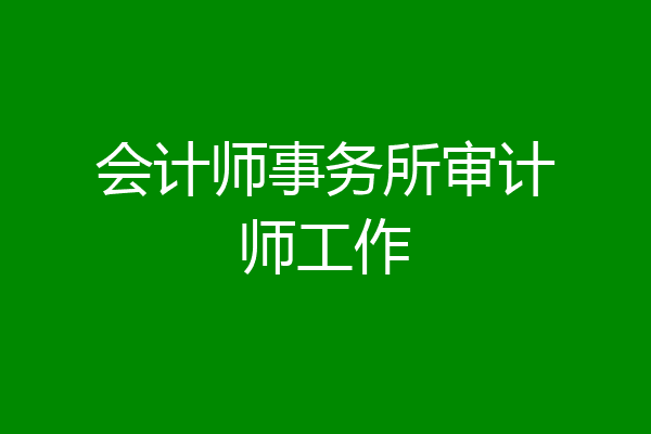 会计师事务所审计师工作