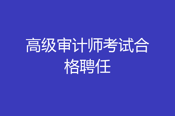 高级审计师考试合格聘任