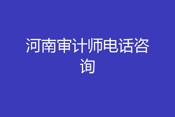 河南审计师电话咨询