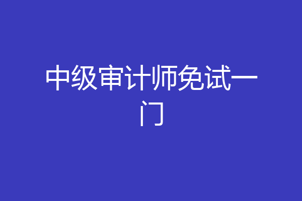 中级审计师免试一门
