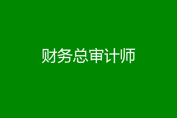 财务总审计师