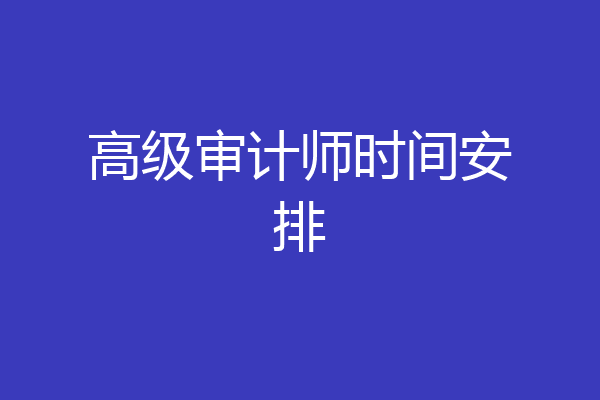 高级审计师时间安排