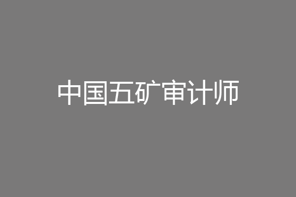 中国五矿审计师